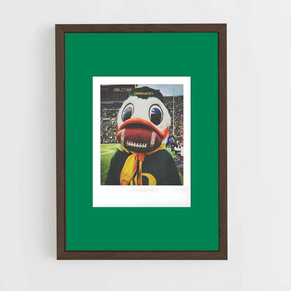 Poster Duck à la Mode – affiche Basketball (vue 5)